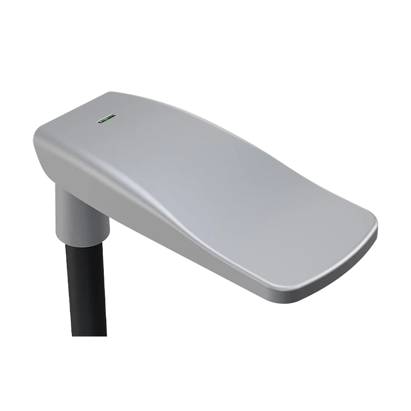 LED Straatlamp Antraciet | 20/30/40W Wattage-Switch | Ø60mm | 3000-6000K CCT-Switch | IP66 | Blaze