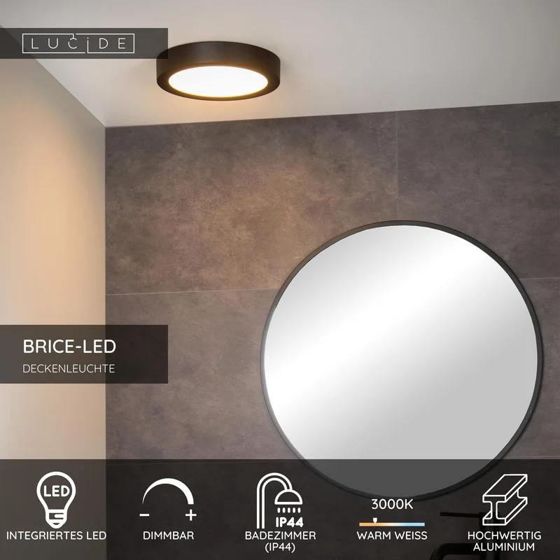 LED-Bad-Deckenleuchte Brice dimmbar IP44 rund Ø 24cm