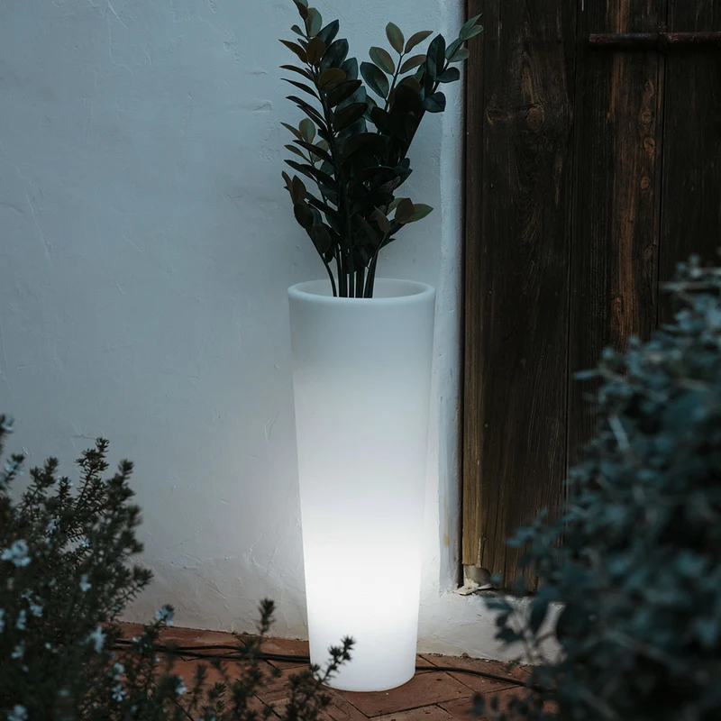 BLUMENTOPF FICUS 80 LICHT