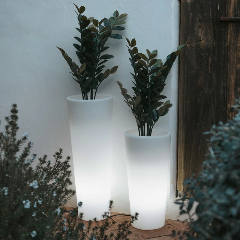 BLUMENTOPF FICUS 80 LICHT