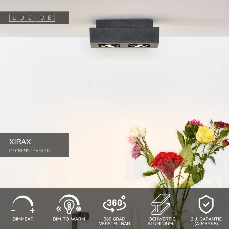 LED-Deckenstrahler Xirax 2-flammig dimmbar