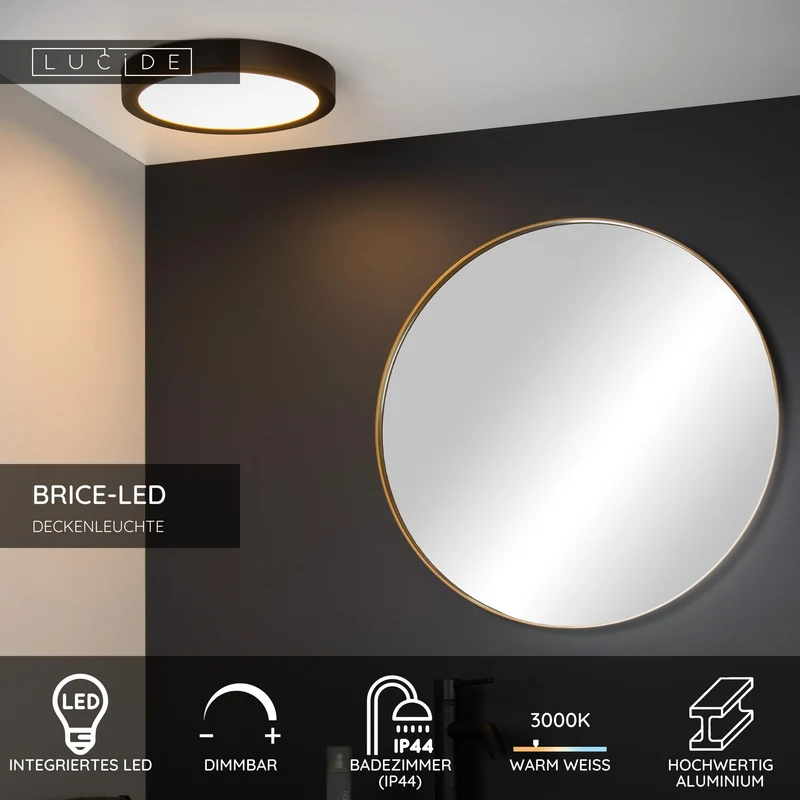 LED-Bad-Deckenlampe Brice dimmbar IP44 rund Ø 30cm