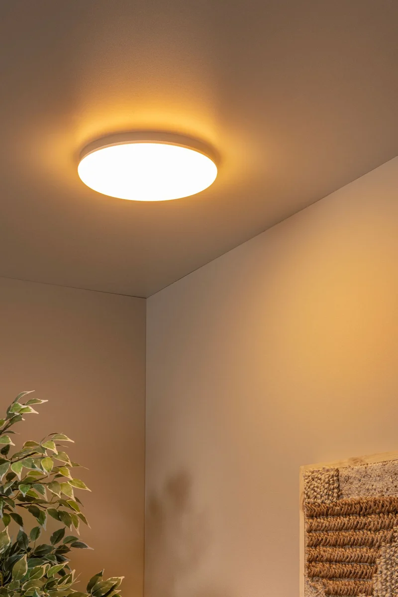 LED-Bad-Deckenleuchte Olson CCT IP44 Ø 29cm Opal
