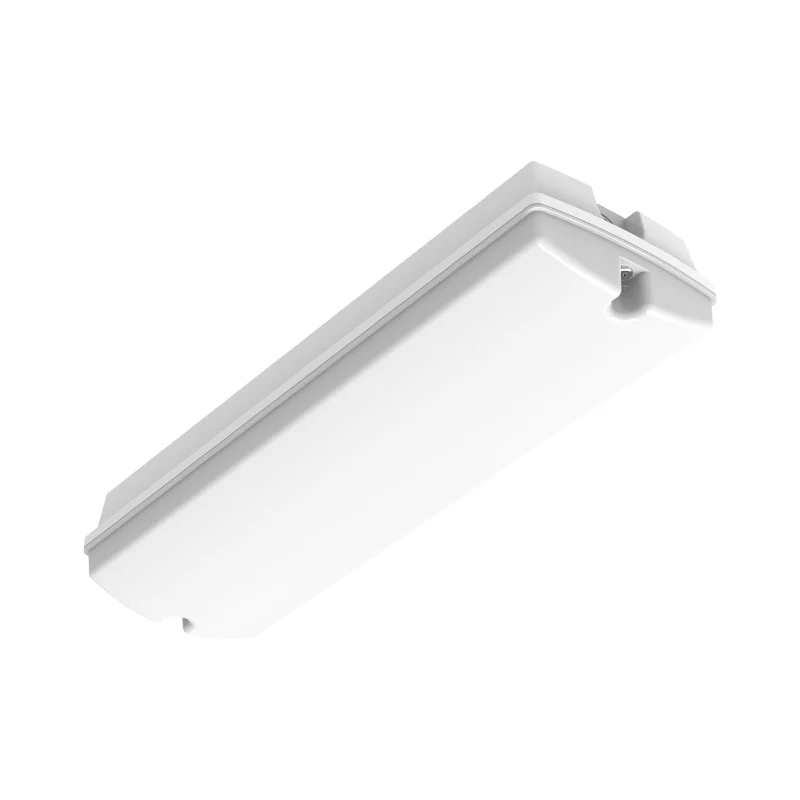 LED-Notbeleuchtungs-Aufbauleuchte | 3 Watt | 6500K Tageslicht
