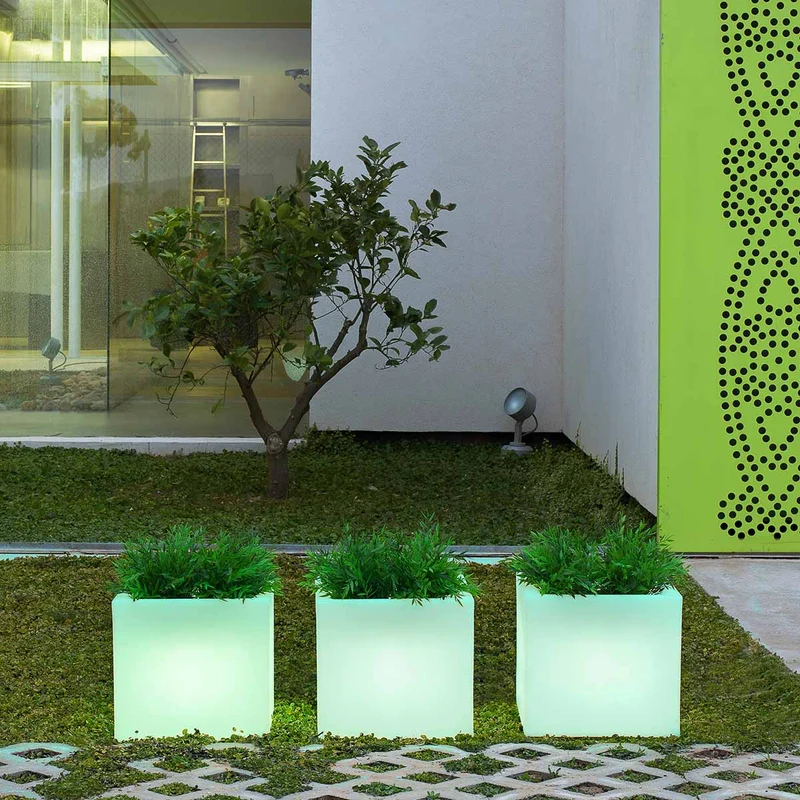 QUADRATISCHE PFLANZE MIT LICHT NARCISO 40