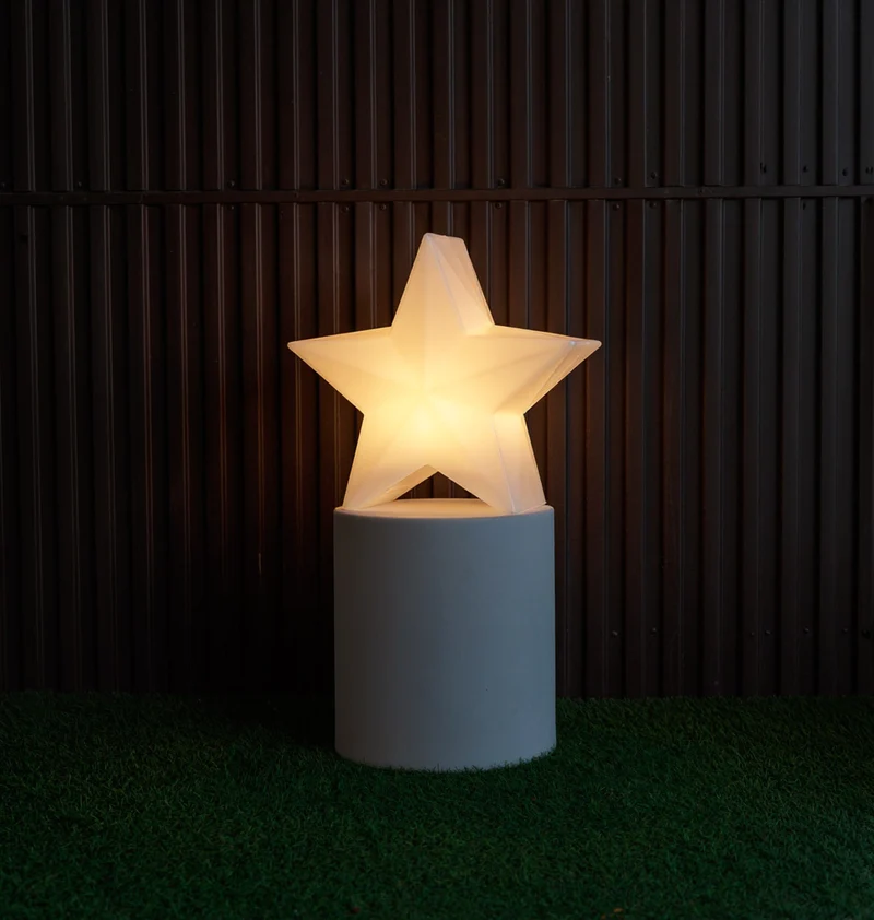 WEIHNACHTSSTERN Nova 45
