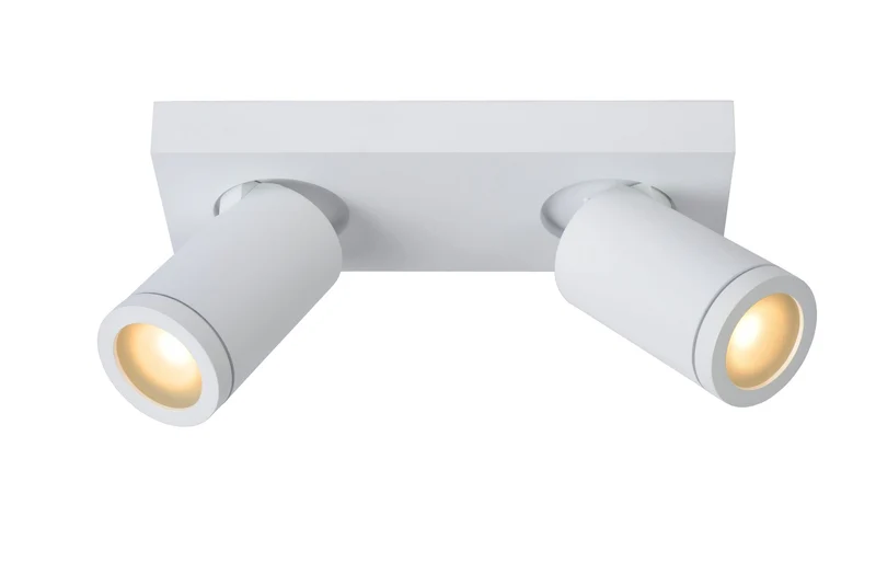 LED-Bad-Deckenstrahler Taylor 2-flammig dimmbar IP44