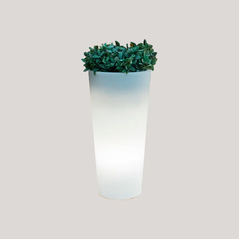 RUNDES PFLANZGEFÄSS MIT LEUCHTE FICUS 60