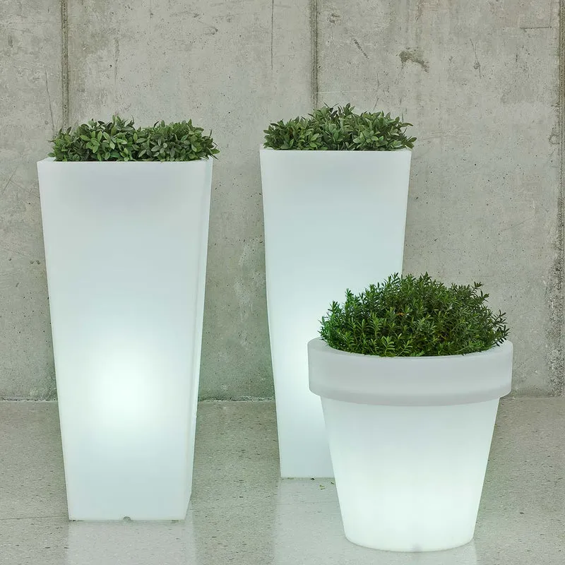 GROßER TOPF MAGNOLIA 60 CM LICHT