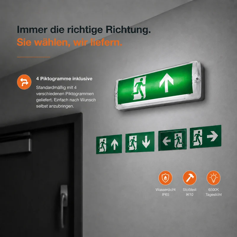 LED-Notbeleuchtung Notausgang & Fluchtweg | MANNY | Umschaltbar | IP66 Aufbau 3W 150lm | Inkl. 4x Piktogramme | Weiß