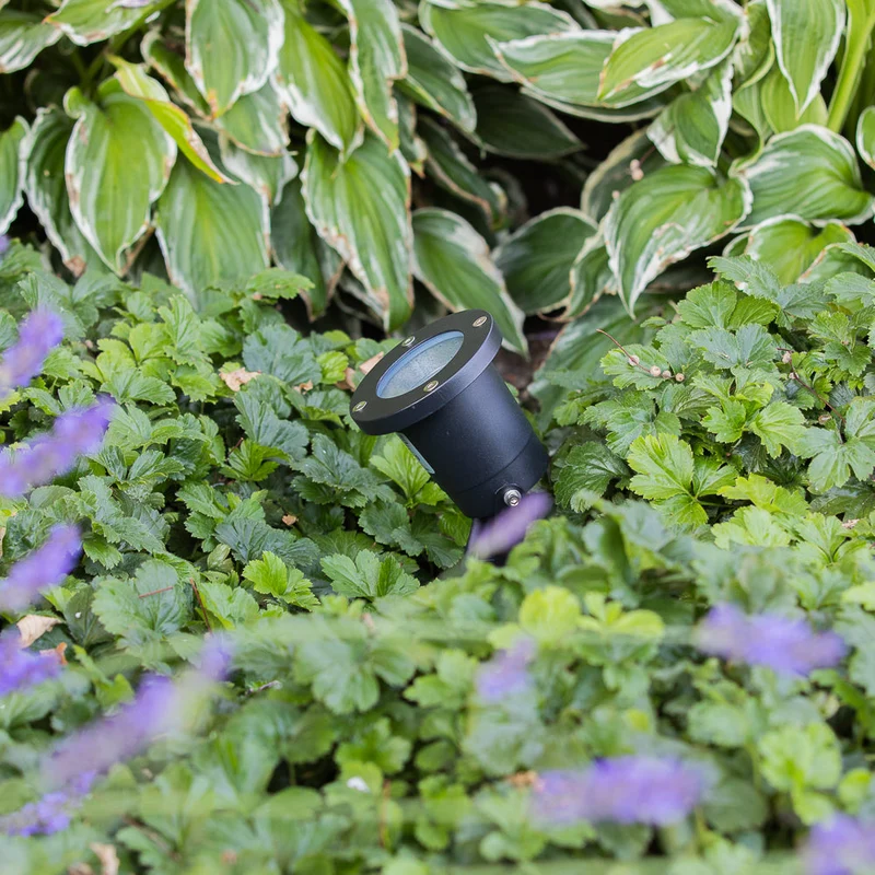 8 Stück | SMART Spike Spots / Gartenspot GU10 | Komplettset | Inkl. 8x PHILIPS Spots | HUE-kompatibel