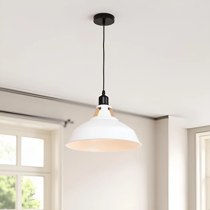 Farbige Vintage Pendelleuchte | Industriedesign E27 ~3953