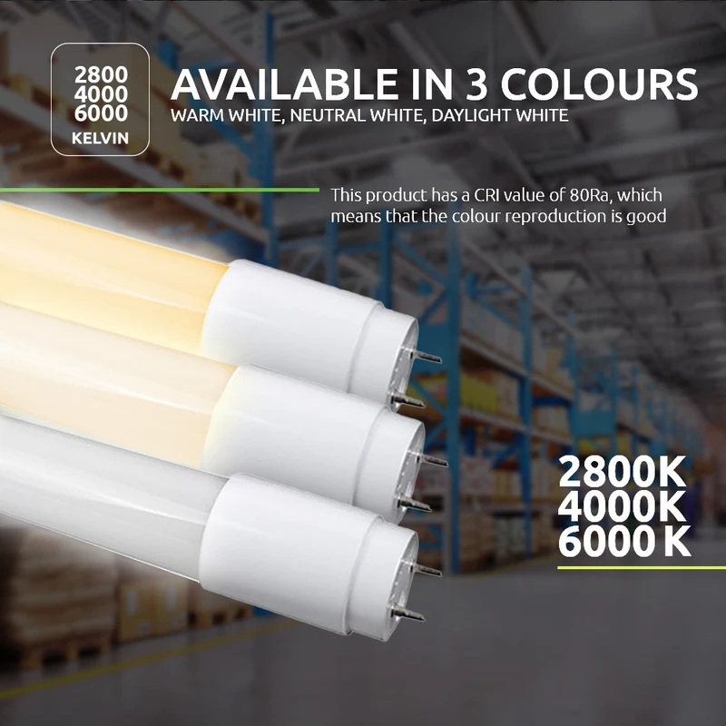 LED-Leuchtstoffröhre 9W 60cm | Basisserie | 5 Jahre Garantie