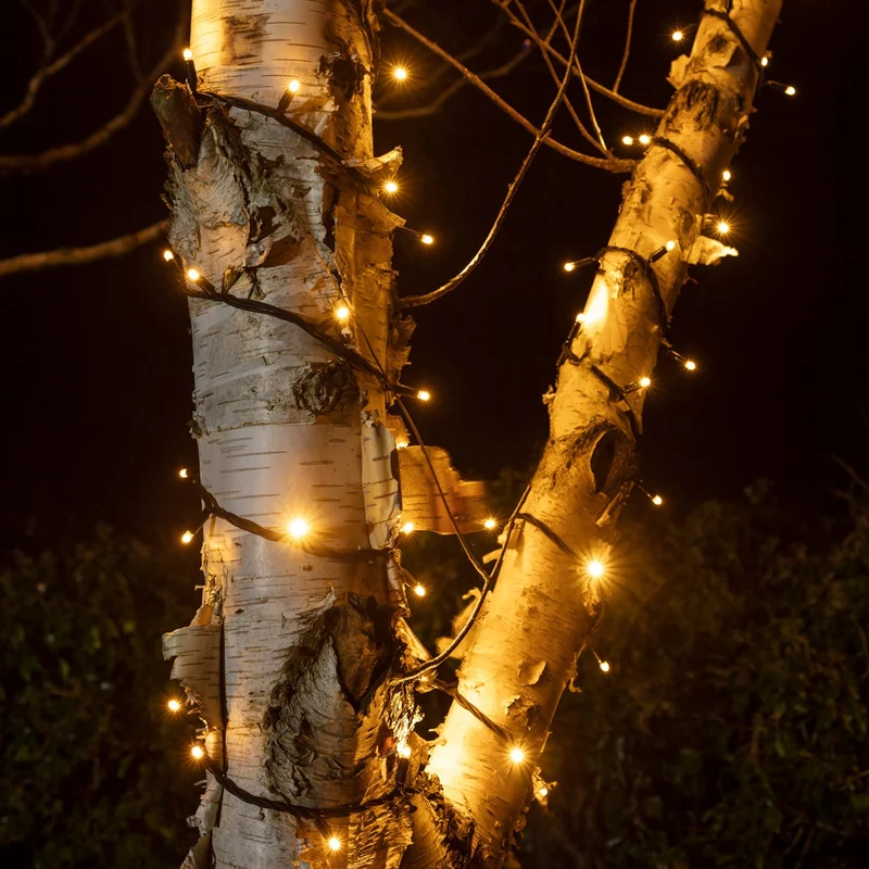 Pro Connect IP67, 5m 50er LED Lichterkette gold warmweiß koppelbar schwarzes Kabel