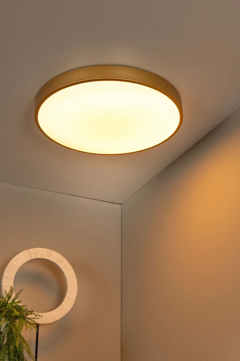 LED-Deckenleuchte Unar in 3 Stufen dimmbar Ø 49,5cm