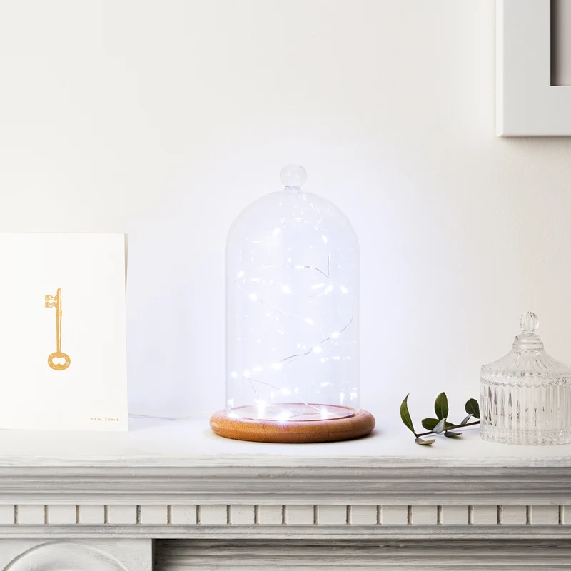 Batteriebetriebene 20er Mikro-LED-Lichterkette in Weiß