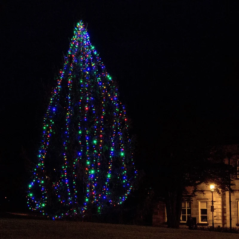 Core Connect 30m 300er LED Lichterkette bunt koppelbar grünes Kabel