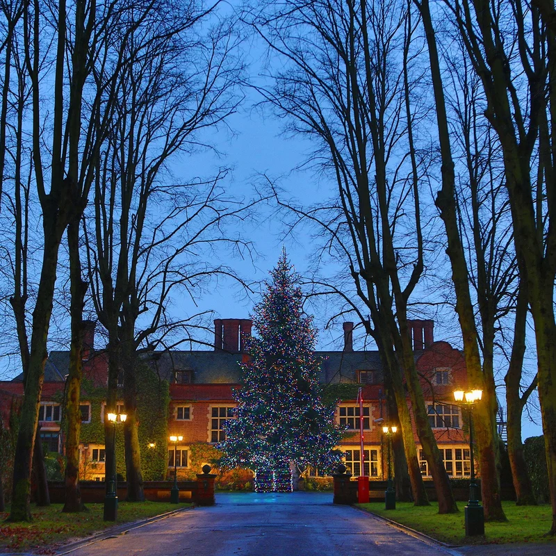Core Connect 40m 400er LED Lichterkette bunt koppelbar grünes Kabel