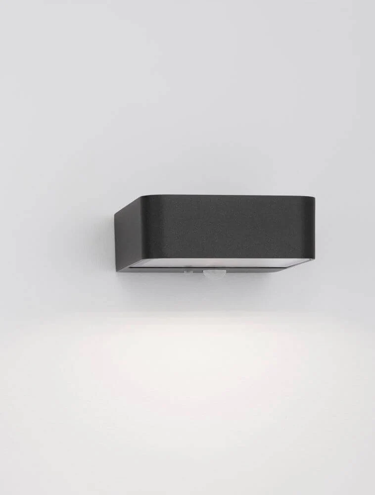 Trendo LED Außenwandleuchte 3000K Anthrazit IP65