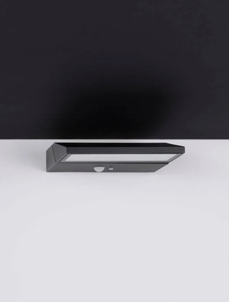 Prim LED Außenwandleuchte 3000K Anthrazit IP65