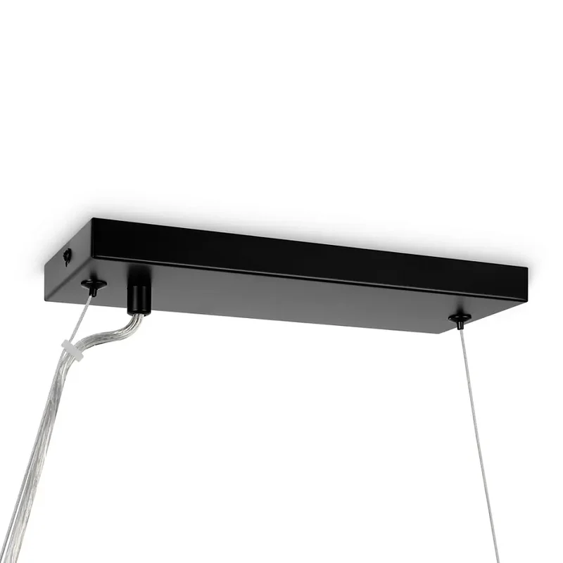 Pendelleuchte – Schwarzes Metall, 25-flammiges Design, Glasschirme - Dallas | Maytoni